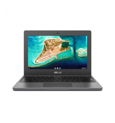 Asus ChromeBook CR1100CKA-GJ0132 - Portátil