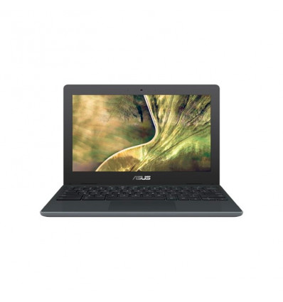 Asus ChromeBook C204MA-GJ0342 11" - Portátil